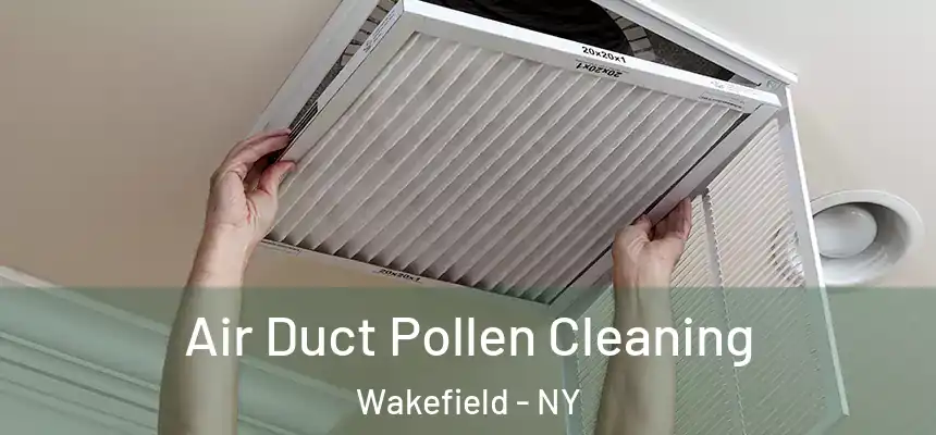 Air Duct Pollen Cleaning Wakefield - NY