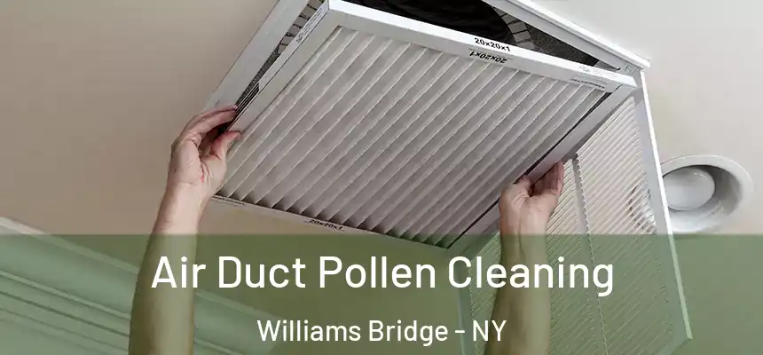 Air Duct Pollen Cleaning Williams Bridge - NY