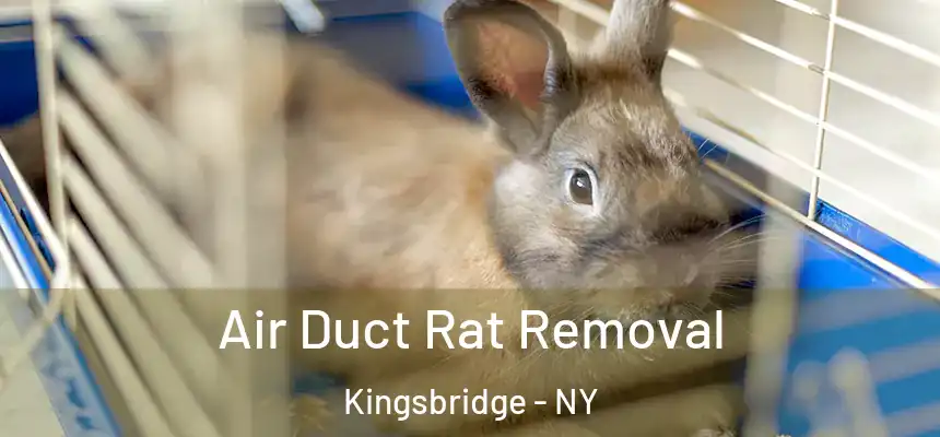 Air Duct Rat Removal Kingsbridge - NY