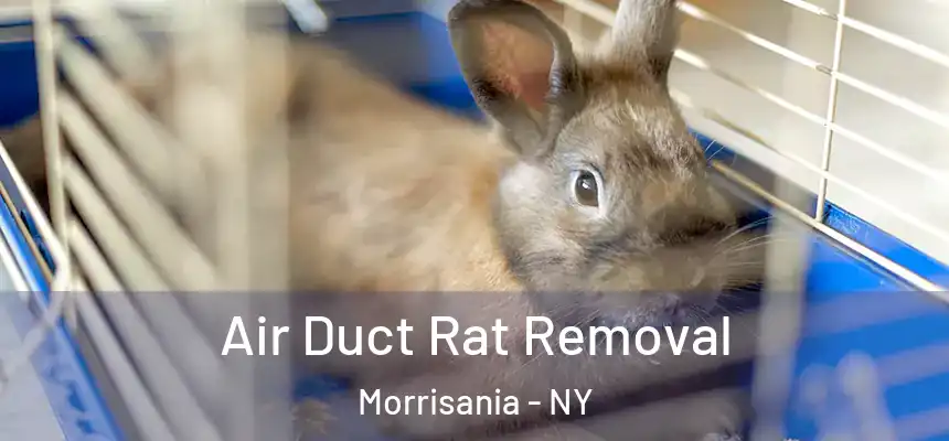 Air Duct Rat Removal Morrisania - NY