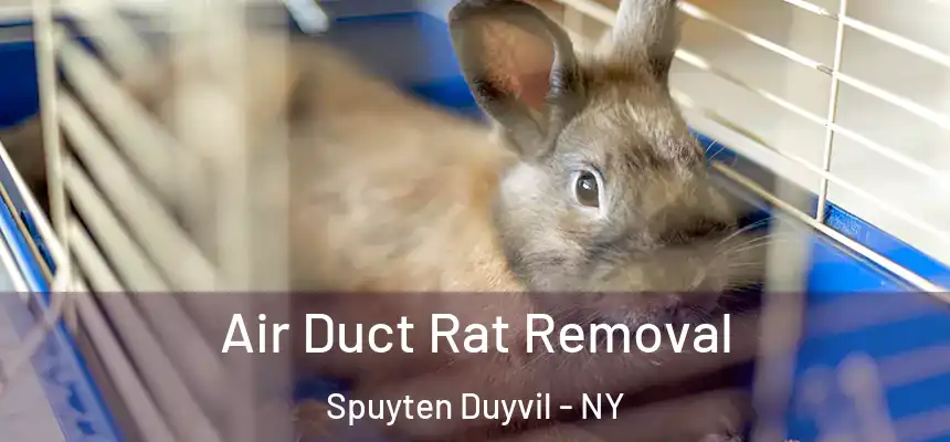  Air Duct Rat Removal Spuyten Duyvil - NY