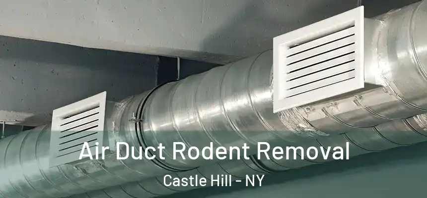  Air Duct Rodent Removal Castle Hill - NY