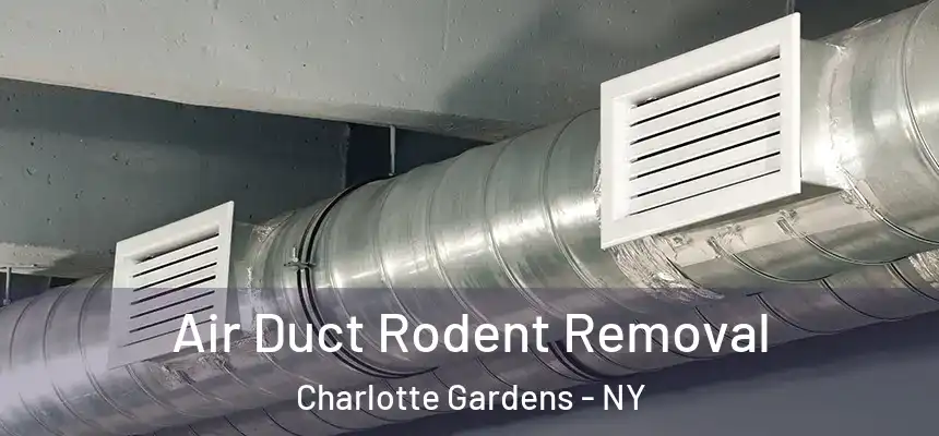 Air Duct Rodent Removal Charlotte Gardens - NY