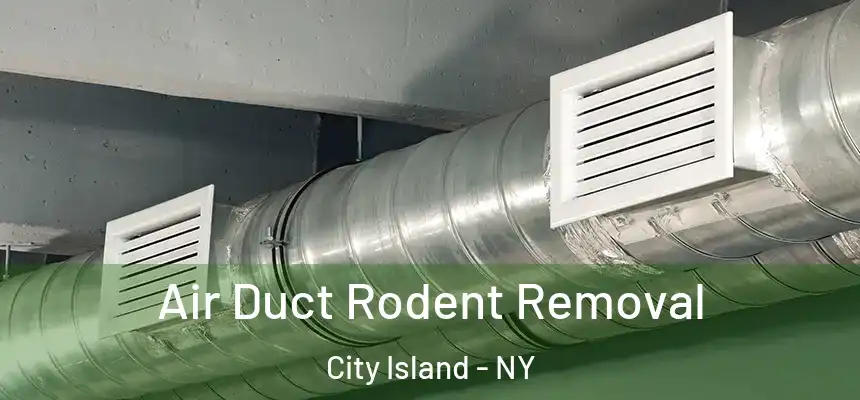 Air Duct Rodent Removal City Island - NY