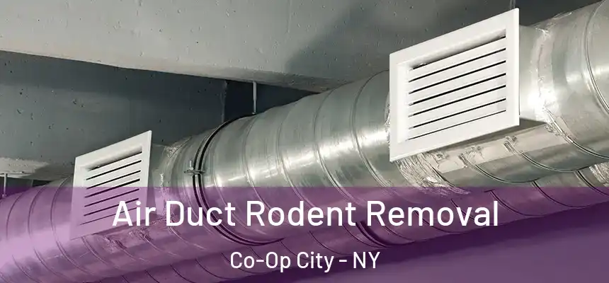 Air Duct Rodent Removal Co-Op City - NY