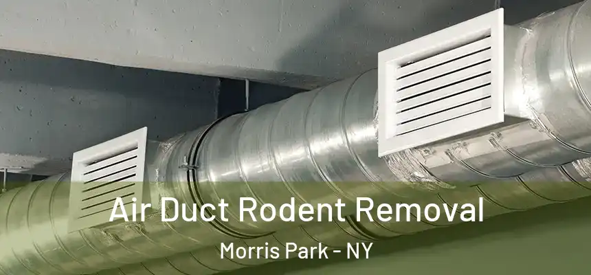 Air Duct Rodent Removal Morris Park - NY