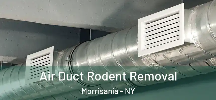 Air Duct Rodent Removal Morrisania - NY