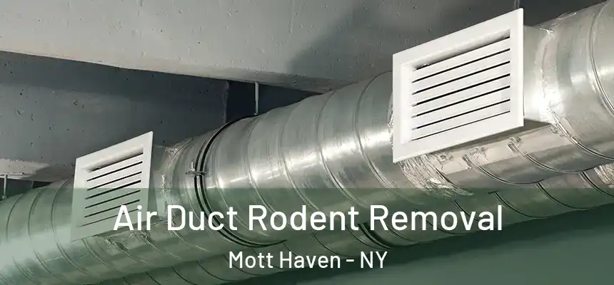 Air Duct Rodent Removal Mott Haven - NY
