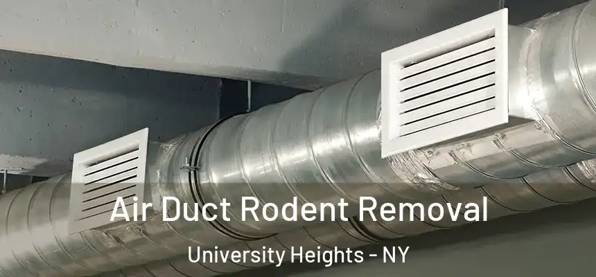  Air Duct Rodent Removal University Heights - NY