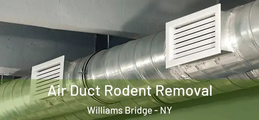  Air Duct Rodent Removal Williams Bridge - NY