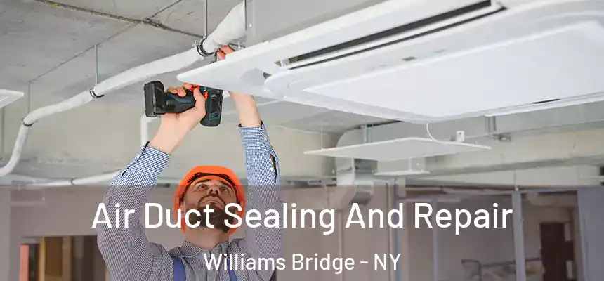 Air Duct Sealing And Repair Williams Bridge - NY