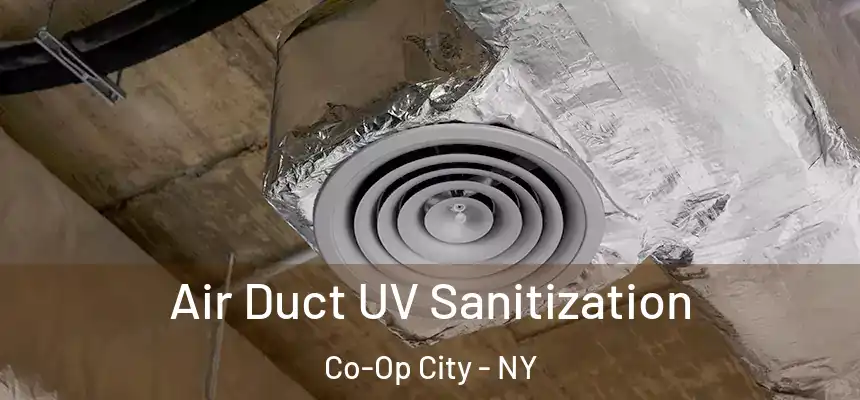  Air Duct UV Sanitization Co-Op City - NY
