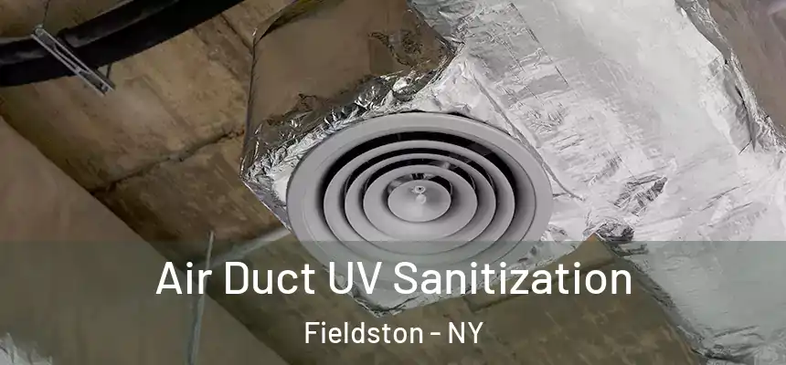 Air Duct UV Sanitization Fieldston - NY