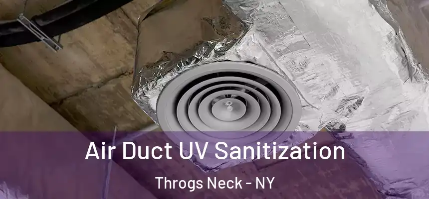 Air Duct UV Sanitization Throgs Neck - NY