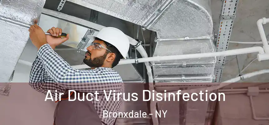 Air Duct Virus Disinfection Bronxdale - NY