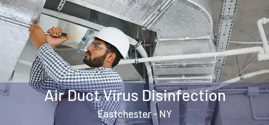 Air Duct Virus Disinfection Eastchester - NY