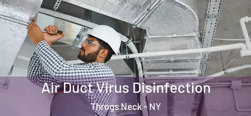  Air Duct Virus Disinfection Throgs Neck - NY