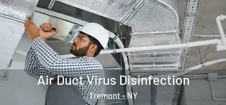 Air Duct Virus Disinfection Tremont - NY