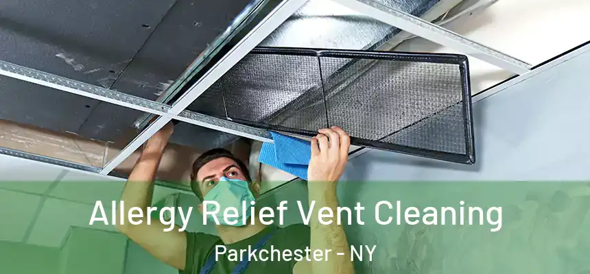  Allergy Relief Vent Cleaning Parkchester - NY