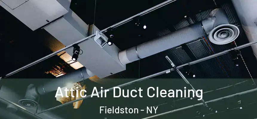  Attic Air Duct Cleaning Fieldston - NY
