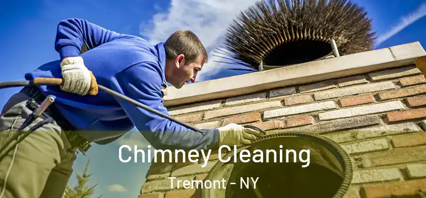  Chimney Cleaning Tremont - NY