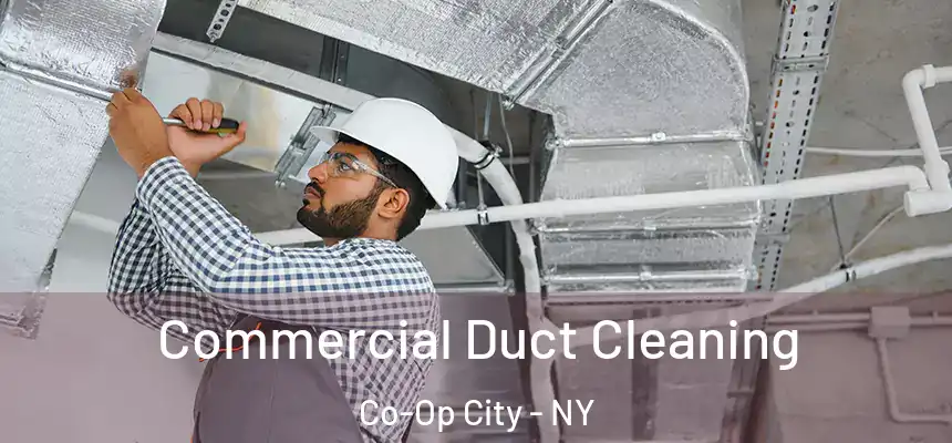 Commercial Duct Cleaning Co-Op City - NY