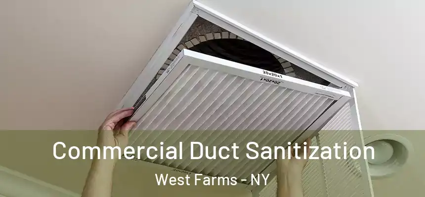  Commercial Duct Sanitization West Farms - NY