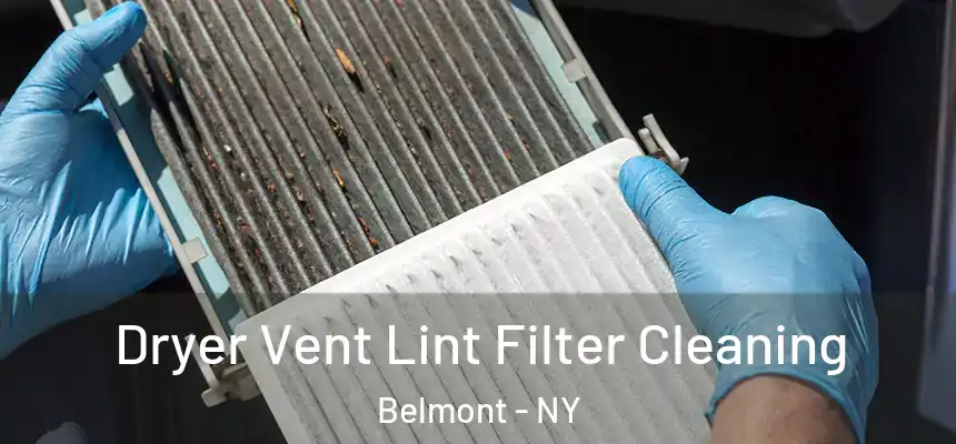  Dryer Vent Lint Filter Cleaning Belmont - NY