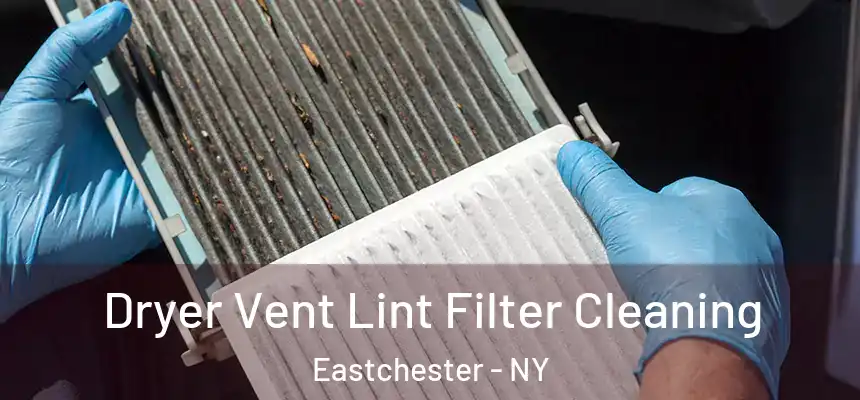  Dryer Vent Lint Filter Cleaning Eastchester - NY