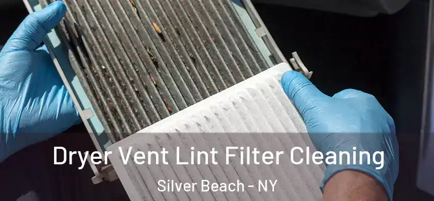  Dryer Vent Lint Filter Cleaning Silver Beach - NY