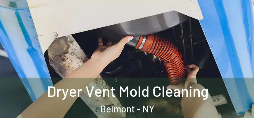  Dryer Vent Mold Cleaning Belmont - NY