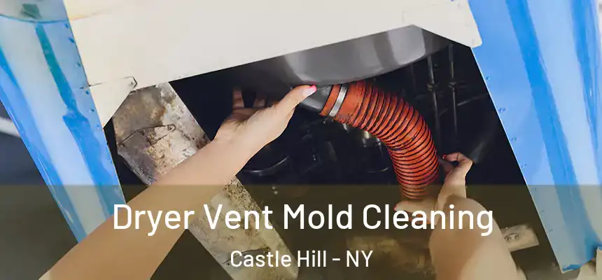  Dryer Vent Mold Cleaning Castle Hill - NY