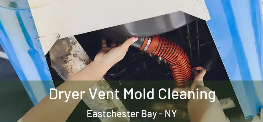  Dryer Vent Mold Cleaning Eastchester Bay - NY