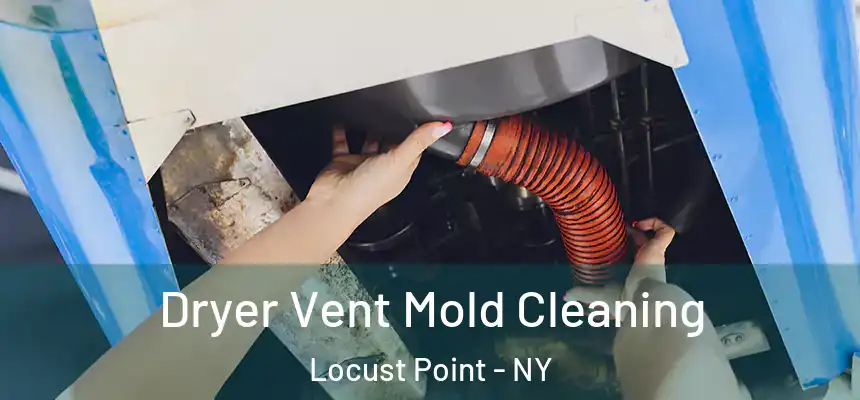  Dryer Vent Mold Cleaning Locust Point - NY