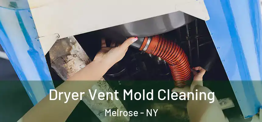 Dryer Vent Mold Cleaning Melrose - NY