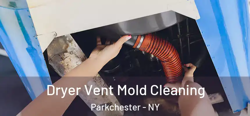  Dryer Vent Mold Cleaning Parkchester - NY