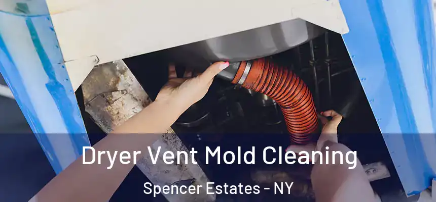  Dryer Vent Mold Cleaning Spencer Estates - NY