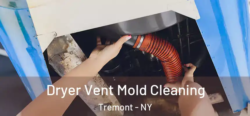  Dryer Vent Mold Cleaning Tremont - NY