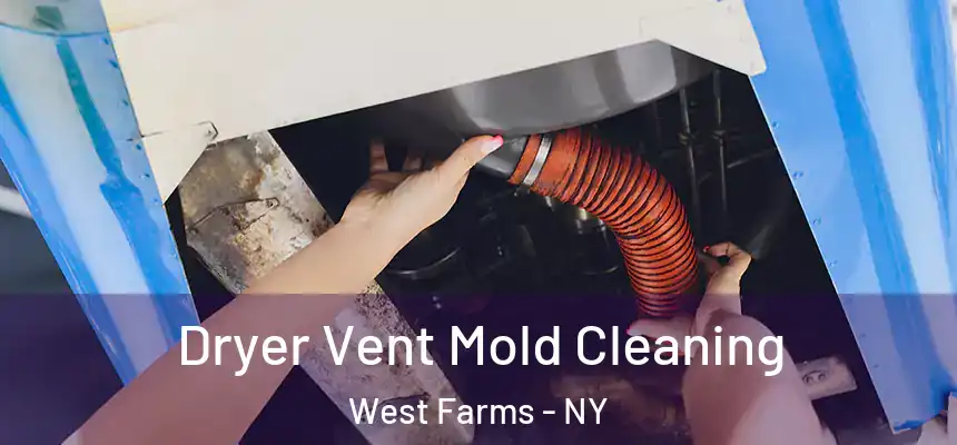  Dryer Vent Mold Cleaning West Farms - NY