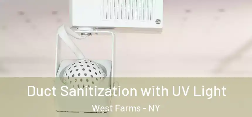 Duct Sanitization with UV Light West Farms - NY