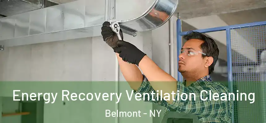  Energy Recovery Ventilation Cleaning Belmont - NY