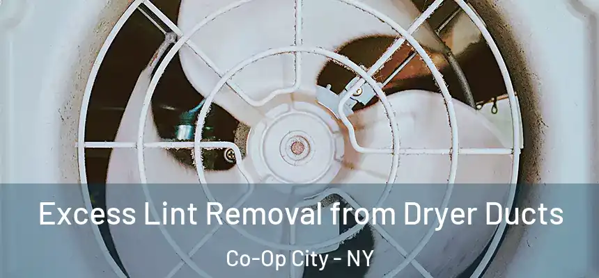  Excess Lint Removal from Dryer Ducts Co-Op City - NY