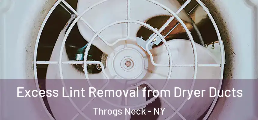  Excess Lint Removal from Dryer Ducts Throgs Neck - NY