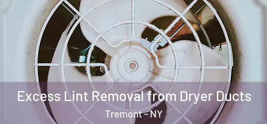 Excess Lint Removal from Dryer Ducts Tremont - NY