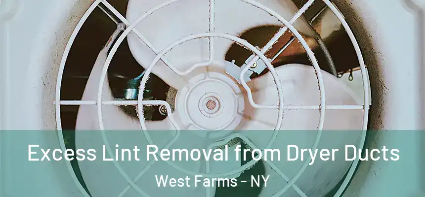  Excess Lint Removal from Dryer Ducts West Farms - NY