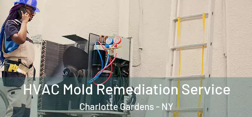  HVAC Mold Remediation Service Charlotte Gardens - NY
