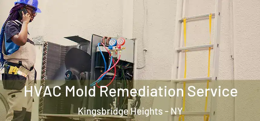 HVAC Mold Remediation Service Kingsbridge Heights - NY