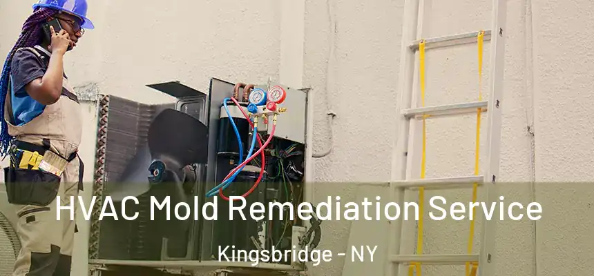 HVAC Mold Remediation Service Kingsbridge - NY