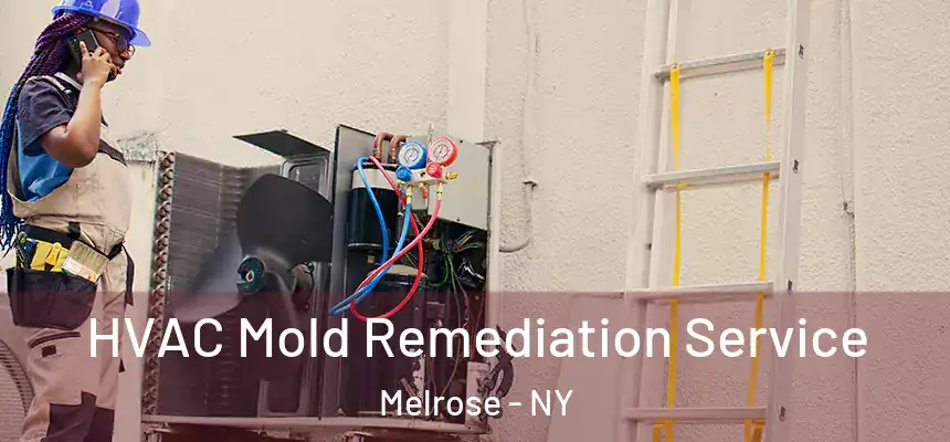 HVAC Mold Remediation Service Melrose - NY