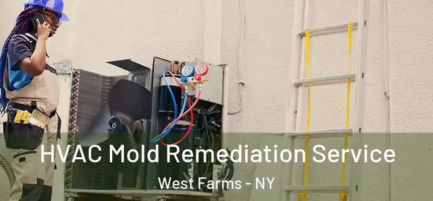  HVAC Mold Remediation Service West Farms - NY